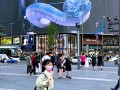 成都春熙路巨型3D蛇太逼真引争议：有网友不敢靠近 ！