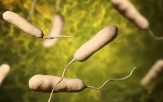 大爷洗鱼不慎水洒伤口险截肢 医生提醒：皮肤有破损勿接触海产品 ！