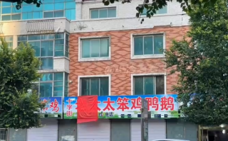 在东北 一切笨的东西都会被吃掉 ！网友：“笨”食材在东北是特指自家散养的！ 