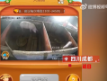 女子花8000元网上“云养”一头猪：预约屠宰遇阻疑被骗 ！
