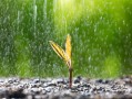 北京暴雨过后出现“双彩虹”：网友纷纷驻足围观 !