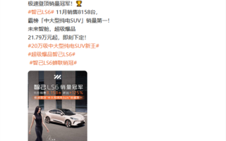 卷爆特斯拉Model Y！智己LS6拿下11月中大型纯电SUV销量第一：8158台 ！