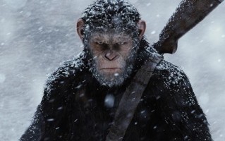 明年5月上映！《猩球崛起4：王国诞生》首支中字预告发布 ！