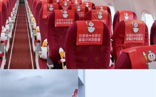 两架蜜雪冰城“痛机”今日首飞 从里到外全是雪王 网友建议把奶茶卖到天上 ! 两架蜜雪冰城“痛机”今日首飞 从里到外全是雪王 网友建议把奶茶卖到天上 !