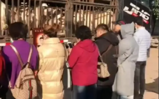 中年男女站在载羊货车旁要求放生 ！市场：不评价行为，只关心交易 ！