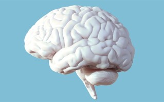 研究发现大脑“断崖式衰老”的3个年龄：57岁、70岁和78岁 ！