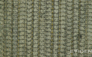 苹果又一突破：iPhone Air USB-C接口采用3D打印技术 ！