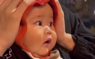 人类幼崽被抱着第一次看烟花：直接成了表情包 ！