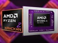 AMD Zen5最入门级APU首曝：CPU 1+3 4核心、GPU 2核心 !