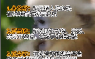 神农架招聘要求“遇见野人跑得快”！官方回应：属实 !