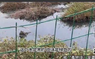 苏州毒地块百亿诉讼调查：业主称买毒地房比买烂尾楼还惨！