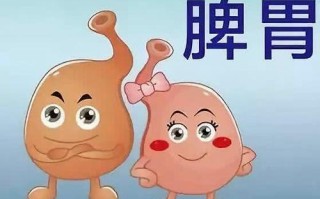 脾胃虚弱调理的最快方法（介绍调理脾胃虚弱的快速方法和建议） ！