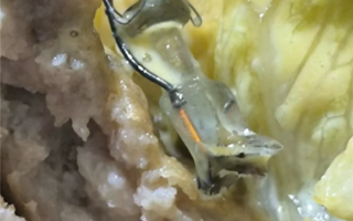 华莱士汉堡被曝吃出破损灯具！消费者拒退款 店家：正在核实 ！