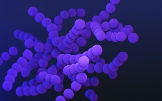 世卫组织警告“X疾病”可能暴发！国家疾控局回应：很难预测 ！