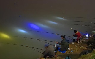 夜钓钓深水还是浅水好（夜间钓鱼是选择深水还是浅水更好） ！