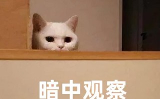 普通话证书怎么考（在什么情况下需要普通话证书呢） ！