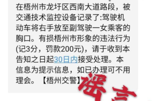 警方辟谣“摸副驾胸部被处罚”：假的，系为博取眼球P图伪造！ 