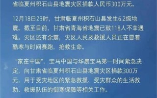 宝马：紧急捐款300万元现金驰援甘肃地震灾区 ！
