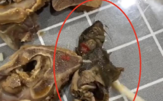 羊肉火锅外卖中疑吃出半截老鼠 ！当地市场监管局：相关科室已介入调查 ！