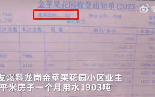 深圳一业主称60平房子月用水1903吨：业主调侃可以上世界吉尼斯纪录了 ！