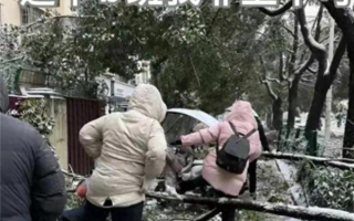 冻雨也挡不住打工人 湖北人上班堪比丛林探险 ！