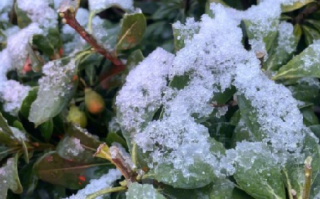 西安初雪和冬雷一起来了：把许多周末睡梦中的西安人吓醒了 ！