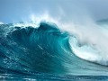 海滩退潮遍地生蚝 市民捡到手软 !