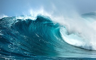 海滩退潮遍地生蚝 市民捡到手软 !