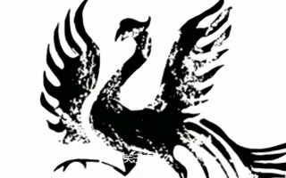 玄鸟的鸟类指称（解答玄鸟一词指代的是哪种鸟类） ！