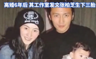 张柏芝说当妈后没时间处理男女关系：在感情中自己不会死缠烂打 ！