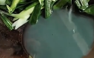男子买韭菜炒出像洗衣液绿色汤汁 ！直言：不敢吃，害怕是农药，觉得非常震惊 ！