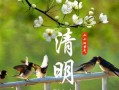清明节为什么要按阳历算农历（解释清明节按阳历计算农历的原因） ！