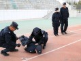 正式法警月工资多少（正式法警的月薪情况） ！