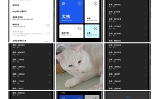玄戒O1专属！小米15S Pro上线芯片性能面板：可手动调节频率、电压 !
