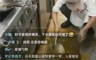 西贝后厨直播变喜剧现场 曝用“漏勺”清理下水道 客服：正调查此事 !