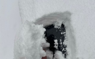 直击各地强降雪：河南雪厚得像切糕 树叶车辆“穿冰甲” ！