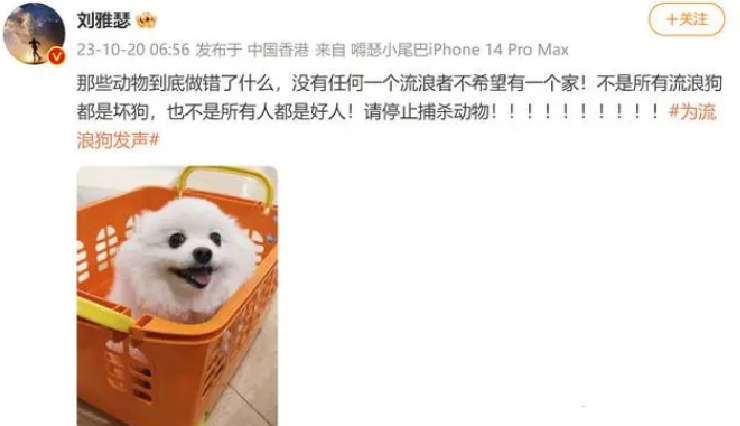 刘雅瑟称不是所有流浪狗都是坏狗：请停止捕杀动物！！-第1张图片