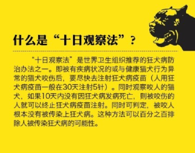 狂犬病潜伏期长达十几年?别信 ！通常是1－3个月，极少数（不到1%）可能大于1年！-第1张图片