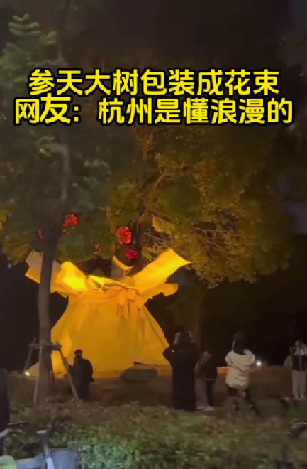 杭州参天大树被包装成巨型花束 ！网友：又被杭州浪漫到了！-第1张图片