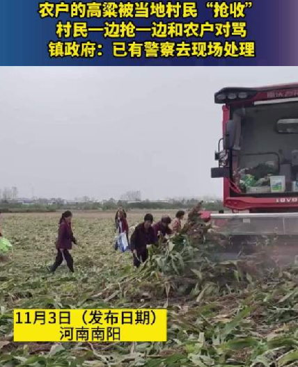 河南村民“抢收”高粱 与农户对骂 ！镇政府：已有警察去现场处理 ！-第1张图片