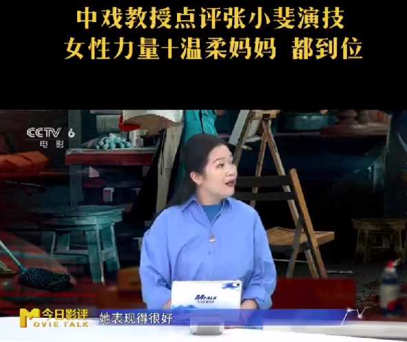 中戏教授点评张小斐《拯救嫌疑人》演技：女性力量和温柔妈妈的演技都到位！-第1张图片