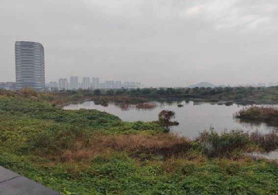 探访苏州“毒地” 有居民称房价暴跌：很担心自家房子所在地块到底有没有污染！-第1张图片