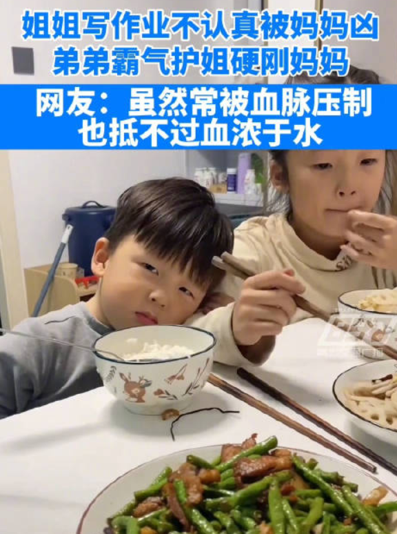 姐姐被批评弟弟霸气护姐 ！网友：血脉压制抵不过血浓于水！-第1张图片