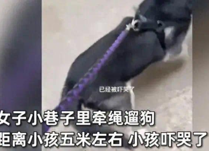 女子遛狗吓哭小孩被老太追砸！目击者：女子被吓得边跑边哭 ！-第1张图片