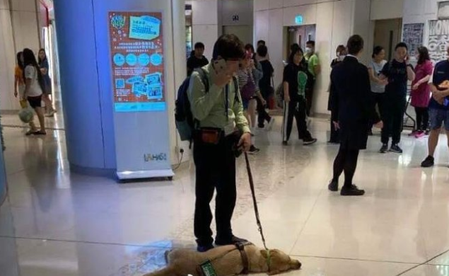香港一导盲犬在商场内晕倒去世 ！目击者：当时呼吸非常急促，被抱起时还呕水 ！-第1张图片