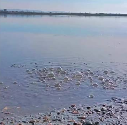 鸭绿江边不停冒泡泡?地震局回应：和地震无关，建筑残土腐殖空隙导致 ！-第1张图片