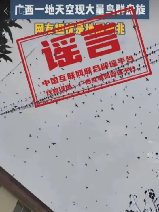 广西辟谣飞鸟盘旋是地震前兆：系鸟类对断崖式的气温不适应所致！-第1张图片