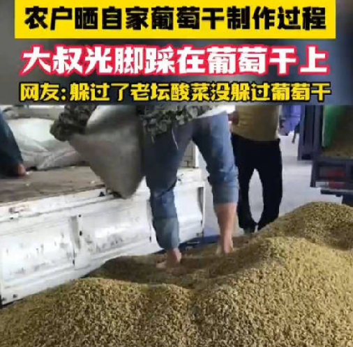 农户赤脚踩自家售卖葡萄干惹争议 ！网友纷纷表示惊恐：我吃葡萄干从来不洗 ！-第1张图片
