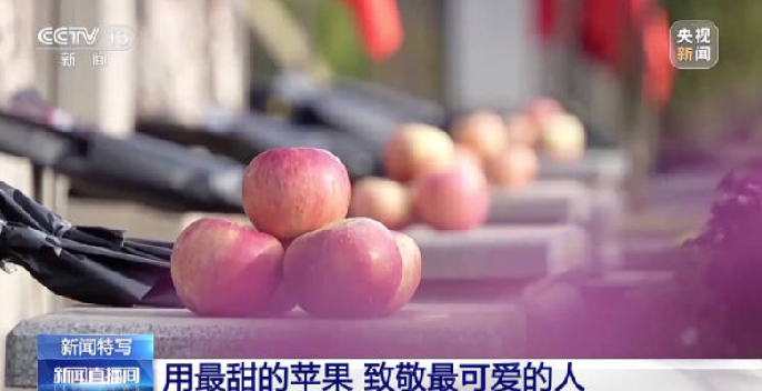 沈阳市民带1800个苹果祭扫英烈 ！网友：再也不用8名战士分1个苹果了 ！-第1张图片