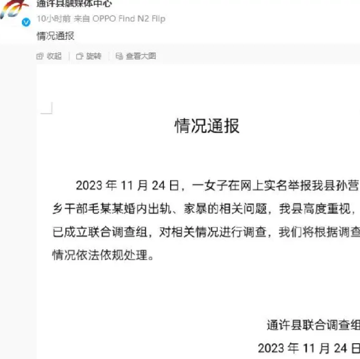 河南一乡镇干部出轨家暴?官方通报：已成立联合调查组，对相关情况进行调查 ！-第1张图片